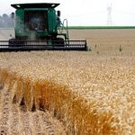 لا تعتمد على الاستيراد… دولة واحدة فقط تشبع مما تنتج والعراق ضمن الأسوأ!