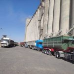 تباشر بتجهيز المطاحن بالحصة السادسة من الحنطة المحلية وتواصل صرف مستحقات الفلاحين