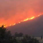 “حرائق اللاذقية”.. وزير الطوارئ السوري يكشف حجم الخسائر