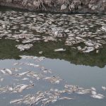 كارثة في “الجكة” بميسان