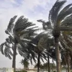 متنبى جوي: رياح البوارح مستمرة حتى الثلث الأول من آب