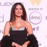 أسباب غياب زينة عن مهرجان القاهرة السينمائي